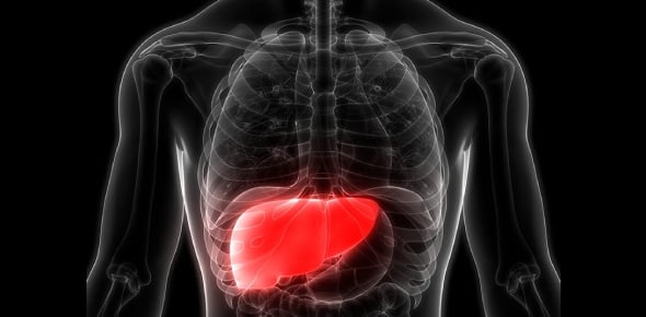 Symptoms For The Following Liver Disease Flashcards